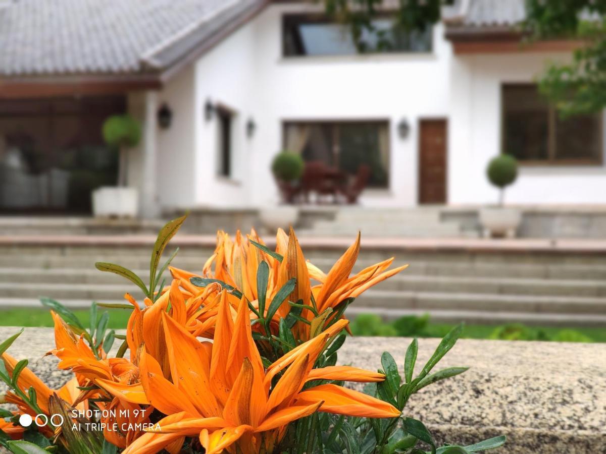 Villa Blanca Con Piscina A 15 Minutos De Toledo - Apartamentos Aloha Toledo Olías del Rey Exteriör bild